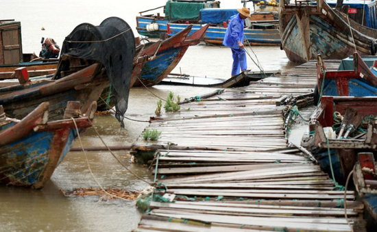 Trung Quốc nâng mức cảnh báo đối với bão Muifa