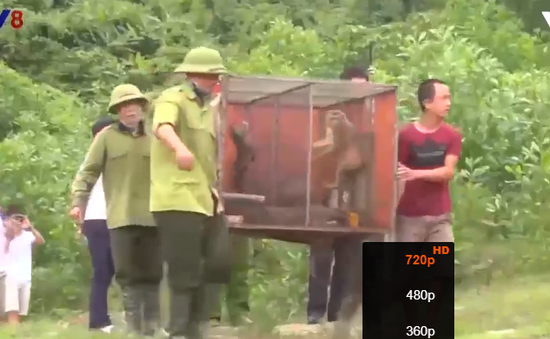 Hội thảo chuyên đề "Phòng chống buôn bán trái phép động vật hoang dã qua biên giới Việt - Lào"