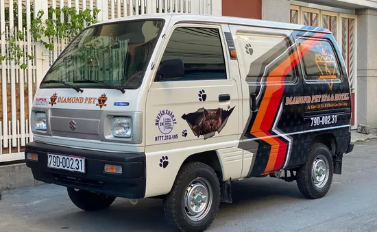 Suzuki Blind Van: Khám phá phong cách sử dụng xe tải đa dạng ở Việt Nam