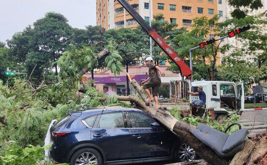 Hà Nội: Cây xanh bật gốc đè lên ô tô do mưa dông lớn