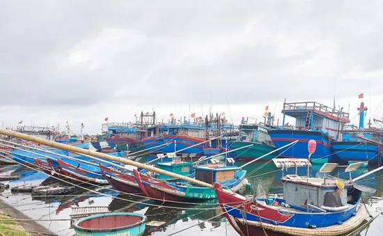 Bão Noru: Thanh Hóa quản lý chặt chẽ các phương tiện tàu, thuyền ra khơi