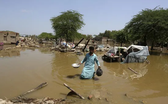 Mưa lũ nghiêm trọng ở Pakistan: Số người thiệt mạng vượt 1.200, dự báo mưa lớn tiếp diễn