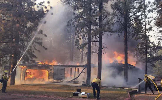 Cháy rừng lan rộng tại California, hàng nghìn người phải sơ tán