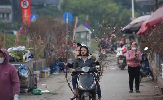 Hà Nội tổ chức 91 điểm chợ hoa phục vụ Tết Quý Mão 2023