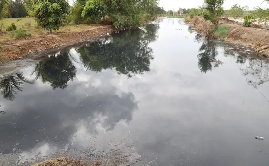 Tây Ninh bắt quả tang một công ty xả nước thải giặt rửa mủ cao su chưa xử lý ra môi trường