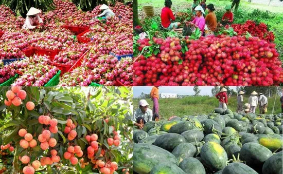 Triển vọng tăng trưởng xuất khẩu nông sản vào Trung Quốc