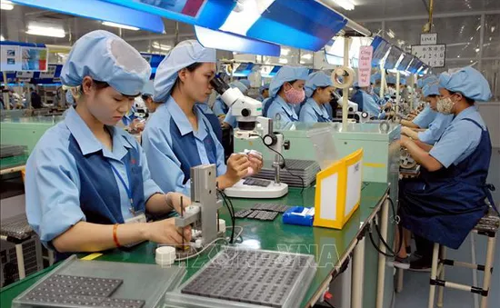Một năm vực dậy đầy mạnh mẽ của nền kinh tế Việt Nam