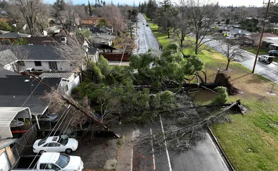 Bão nghiêm trọng ở bang California: Số người tử vong tăng lên 12