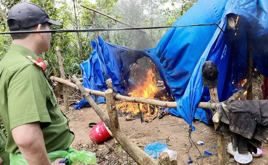 Quảng Nam: Xử lý quyết liệt "vàng tặc" tại Bồng Miêu