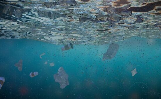 Nhựa chiếm 80% rác thải trong môi trường biển Địa Trung Hải