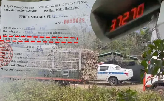 Gia Lai: Tái diễn tình trạng xe chở mía quá khổ, quá tải