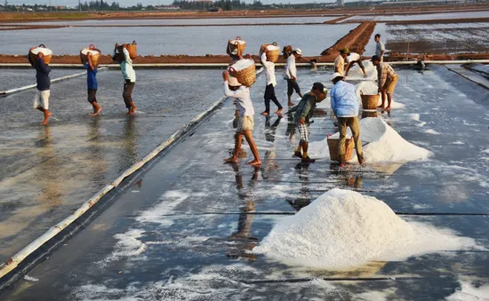 Giá muối cao, diêm dân không có muối để bán