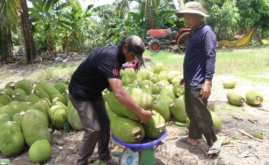 Trung Quốc tăng cường nhập khẩu trái cây chính ngạch