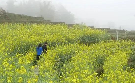 Sản phẩm du lịch bền vững trên ruộng bậc thang