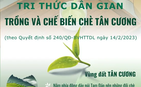 Tri thức dân gian trồng và chế biến chè Tân Cương - Di sản văn hóa phi vật thể quốc gia