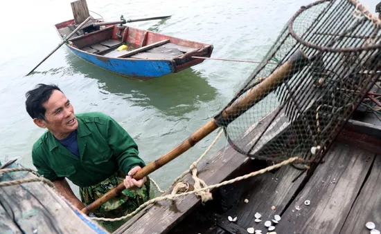 Làm rõ nguyên nhân ngao, hàu chết hàng loạt tại một số địa phương ở Hà Tĩnh