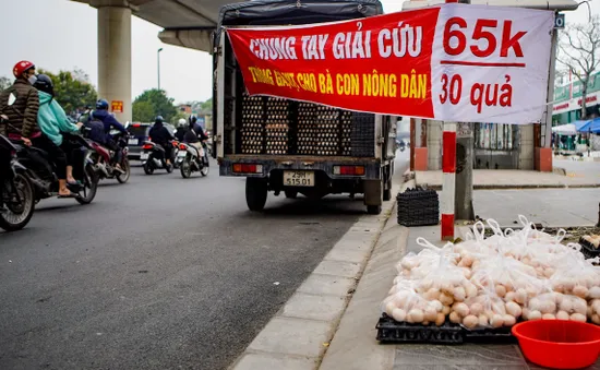 Cảnh giác với trứng gia cầm "giải cứu"