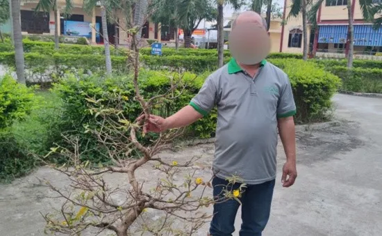 Đà Nẵng: "Mai tặc" sa lưới trong đêm