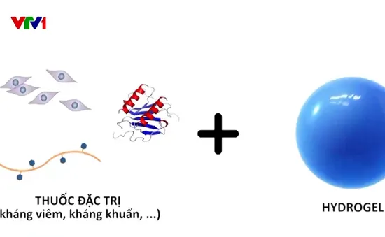 Công nghệ vật liệu mới làm lành vết thương cho bệnh nhân đái tháo đường