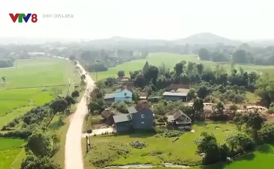 Sống chung với "Thiên lôi"