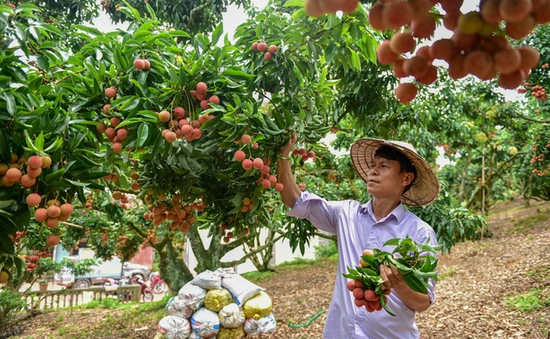 Doanh nghiệp lên kịch bản xuất khẩu vải niên vụ 2022 - 2023