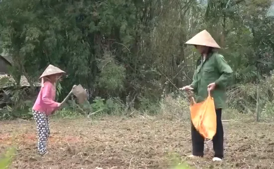 Cặp lá yêu thương: Cô chị cả và tia hy vọng duy nhất của ba mẹ