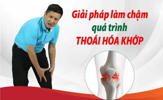 Giải pháp làm chậm quá trình thoái hóa khớp