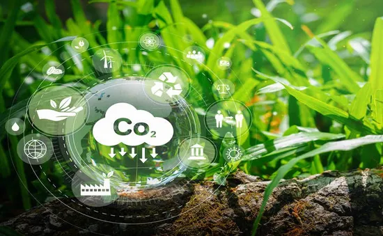 EU chính thức triển khai cơ chế điều chỉnh carbon giai đoạn 1