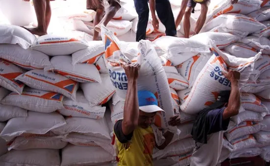 Indonesia nhập khẩu để kiềm chế giá lương thực