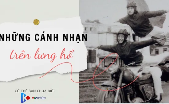 Những cánh nhạn trên lưng hổ đất Hà thành