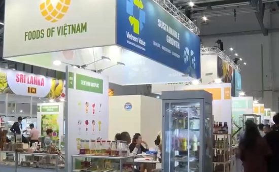 Xuất khẩu hoa quả Việt Nam vào châu Âu tăng mạnh