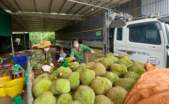 Xuất khẩu nông sản sang Trung Quốc lập kỷ lục