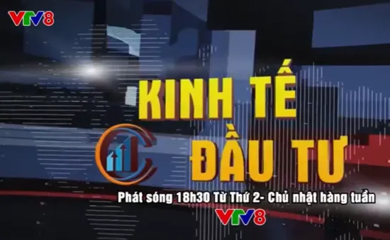 Kinh tế đầu tư trên VTV8