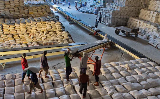 Xuất khẩu gạo mang về gần 3,7 tỷ USD