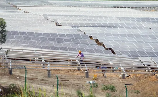 Việt Nam có cơ hội đón dòng giao dịch mạnh mẽ về năng lượng tái tạo
