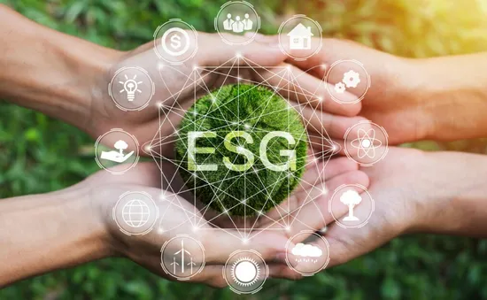 ESG - trọng tâm để các công ty đầu tư trong 5 năm tới