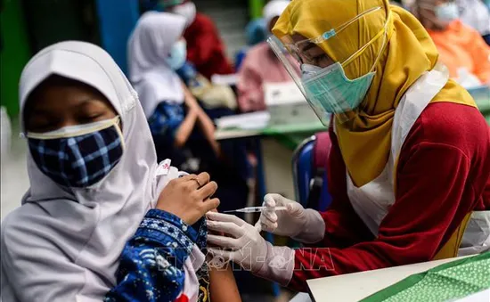 Indonesia xét xử vụ tham nhũng y tế trong đại dịch COVID-19