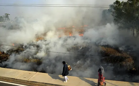 New Delhi dành riêng phòng khám cho bệnh nhân ô nhiễm không khí