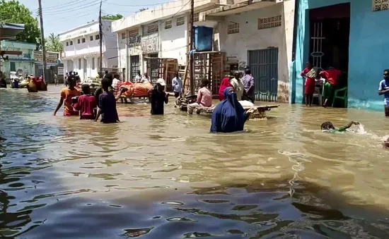 Số người thiệt mạng do lũ lụt nghiêm trọng ở Somalia tăng lên 50