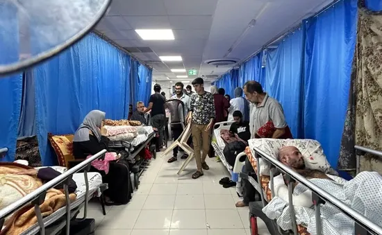 WHO lên kế hoạch sơ tán ba bệnh viện ở Dải Gaza