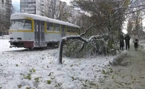 Bão mạnh hoành hành ở Nga, Ukraine và Moldova