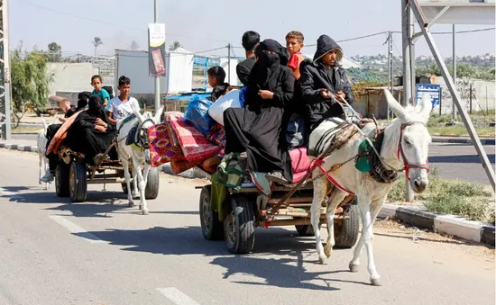 Xe lừa kéo - phương tiện di chuyển khả thi duy nhất tại Dải Gaza