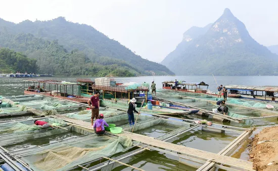 Làng chài giữa đại ngàn núi rừng Tuyên Quang