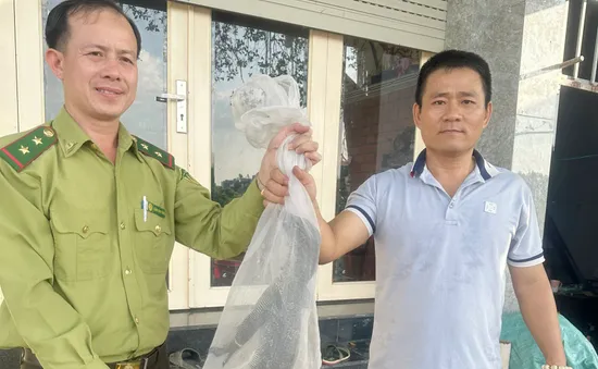 Bắt được kỳ đà quý hiếm bò trên bờ kênh ở TP Hồ Chí Minh