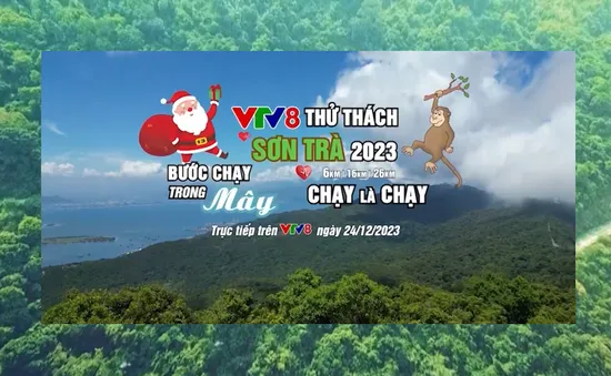 Giải chạy "VTV8 - Thử thách Sơn Trà 2023" - Bước chạy trong mây.