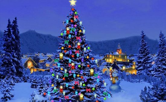 Ý nghĩa của cây thông Noel trong lễ Giáng sinh