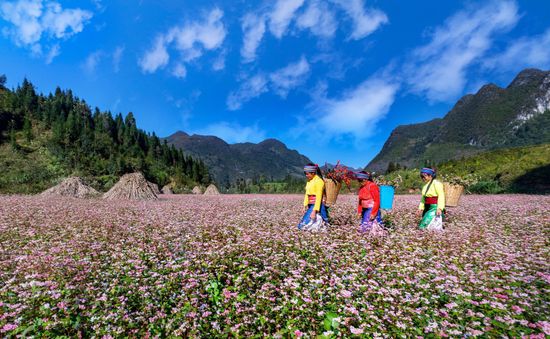 Điện ảnh "dẫn lối" để du lịch Hà Giang cất cánh