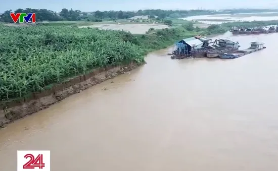 Báo động tình trạng sạt lở bờ sông Hồng