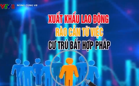 Xuất khẩu lao động - Rào cản từ việc cư trú bất hợp pháp