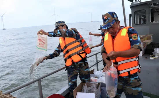 Bạc Liêu: Thả 4,2 triệu con tôm giống tái tạo nguồn lợi thủy sản